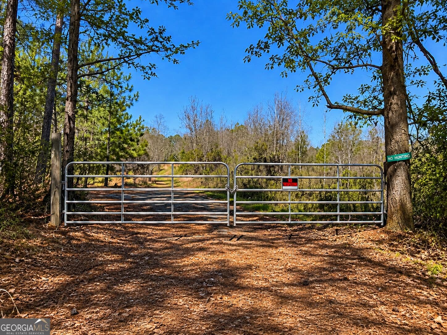 unimproved land for sale at 40 ACRES Pobiddy Road, Thomaston, GA 30286 — photo 3