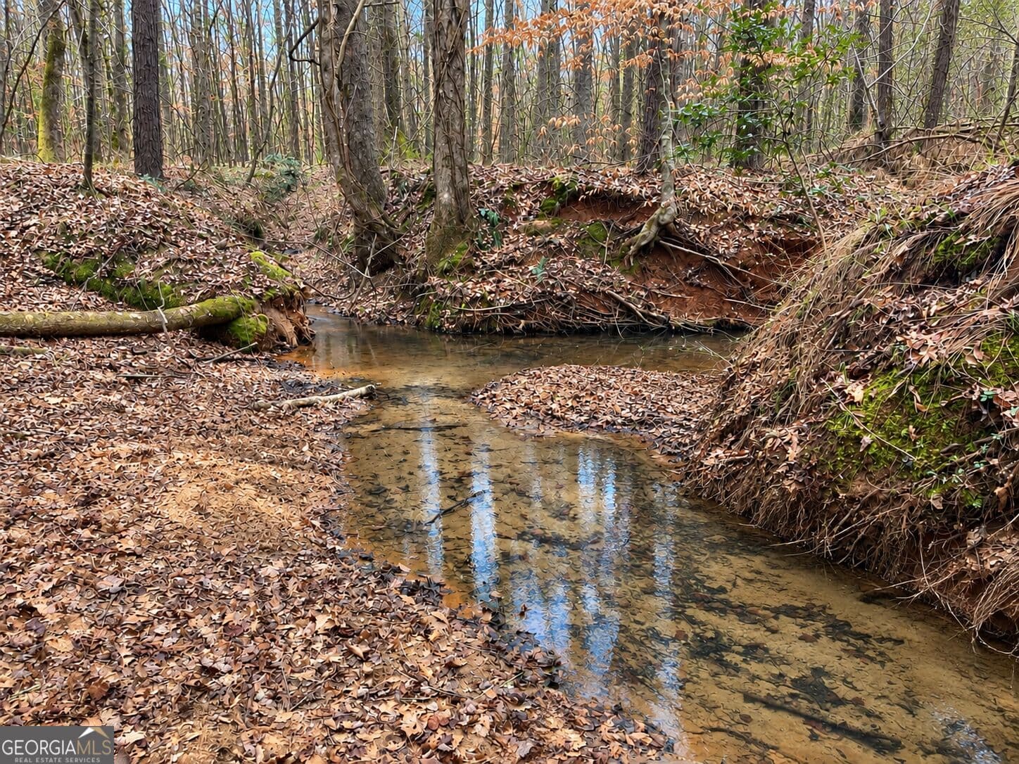 unimproved land for sale at 40 ACRES Pobiddy Road, Thomaston, GA 30286 — photo 5