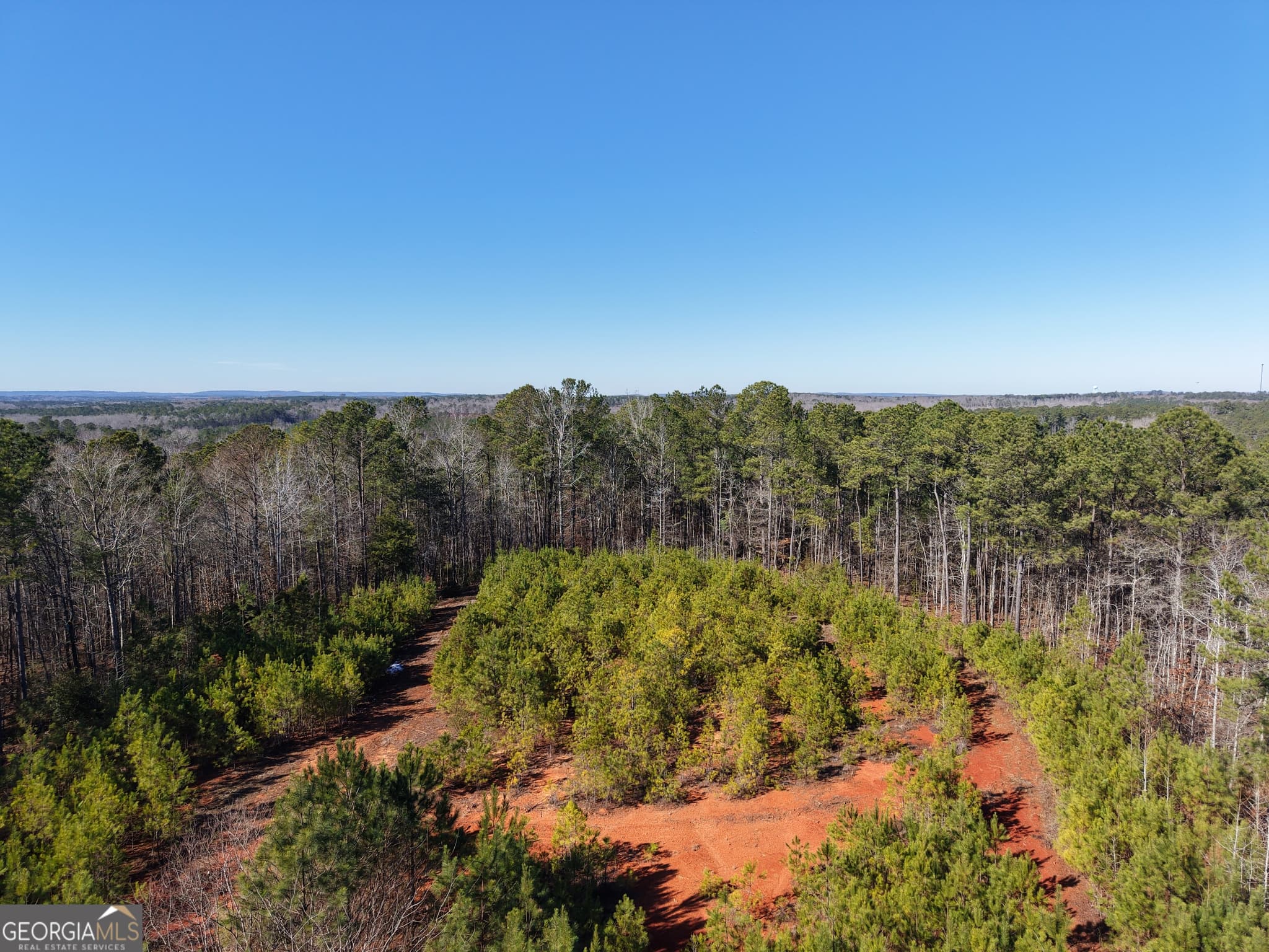 unimproved land for sale at 40 ACRES Pobiddy Road, Thomaston, GA 30286 — photo 9