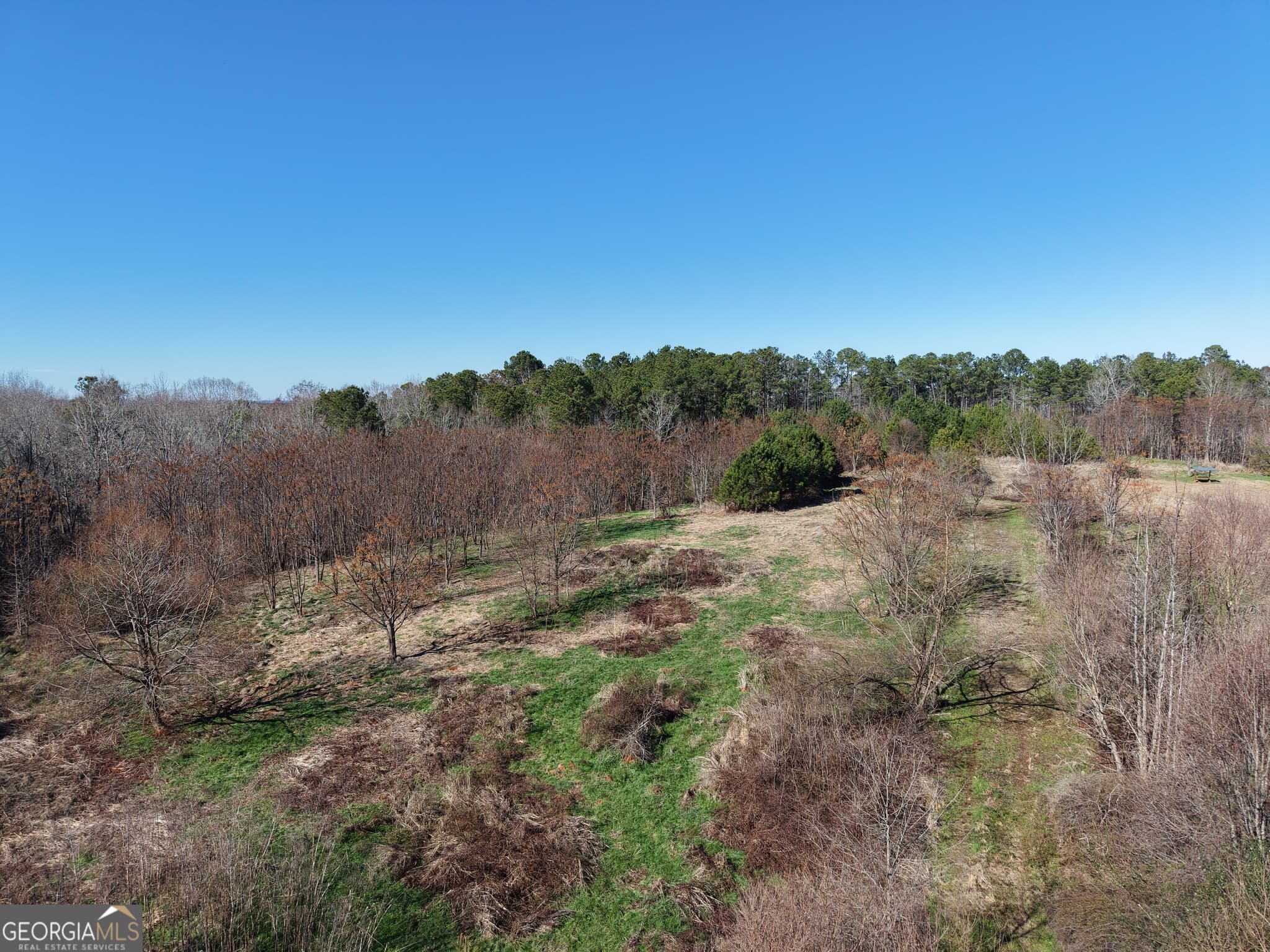 unimproved land for sale at 40 ACRES Pobiddy Road, Thomaston, GA 30286 — photo 10