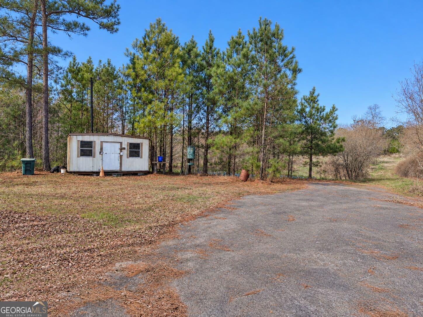 unimproved land for sale at 40 ACRES Pobiddy Road, Thomaston, GA 30286 — photo 4