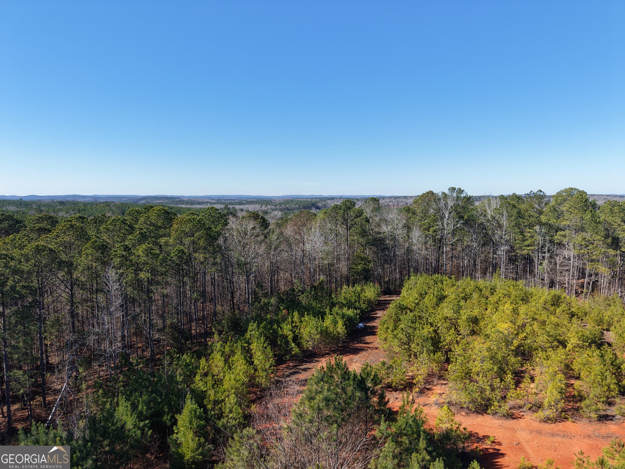 unimproved land for sale at 40 ACRES Pobiddy Road, Thomaston, GA 30286 — photo 8
