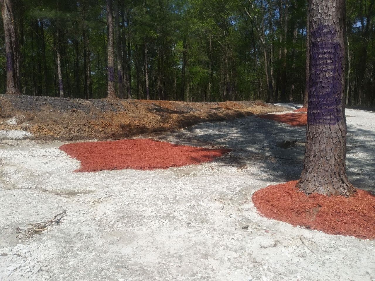 unimproved land for sale at 3107 Riviera Drive, Conyers, GA 30012 — photo 9