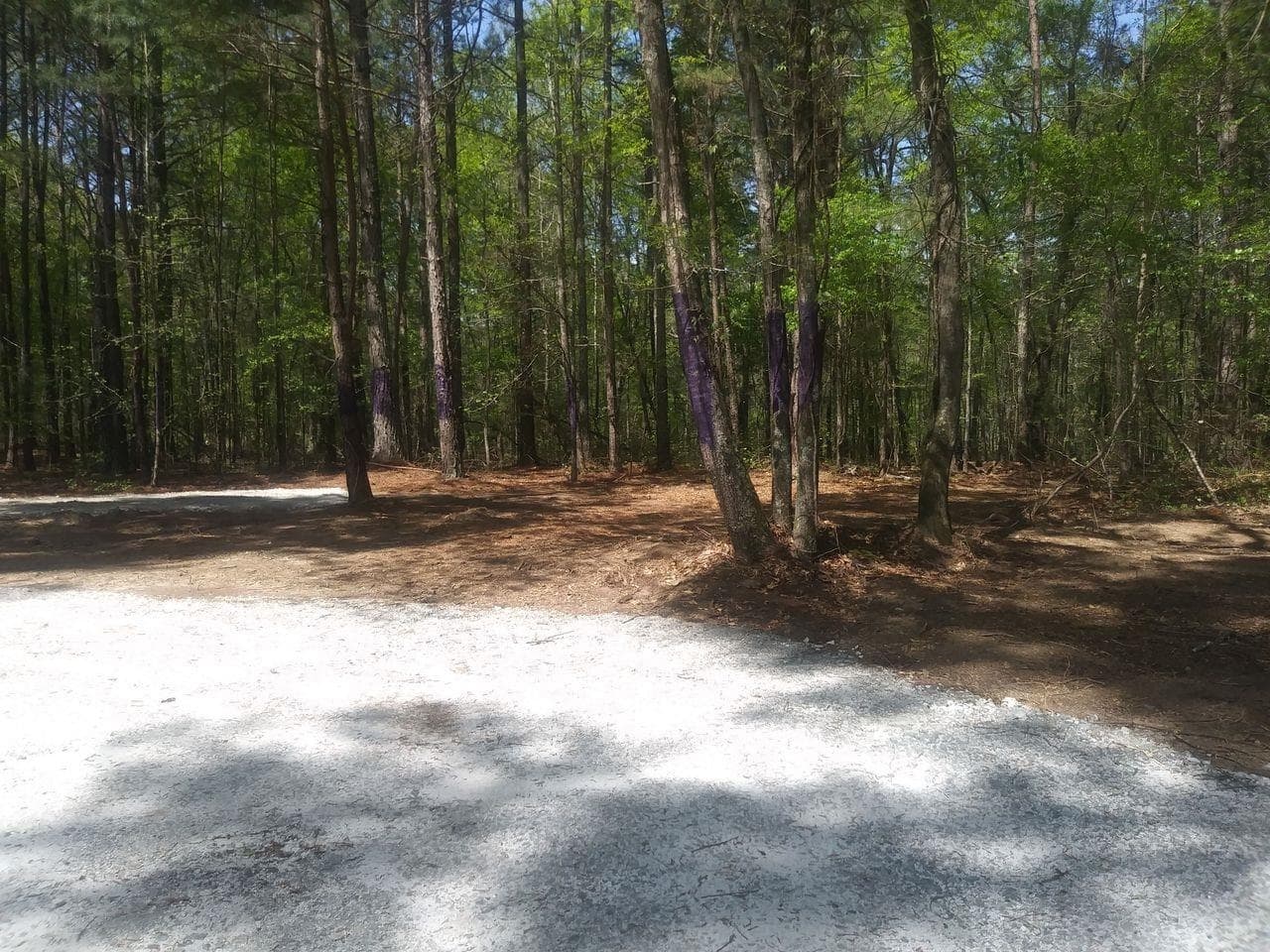 unimproved land for sale at 3107 Riviera Drive, Conyers, GA 30012 — photo 10
