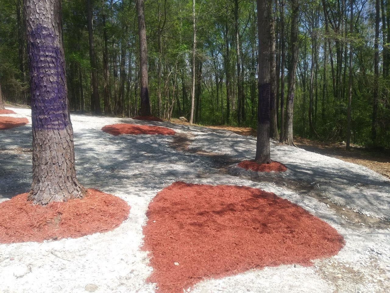 unimproved land for sale at 3107 Riviera Drive, Conyers, GA 30012 — photo 8