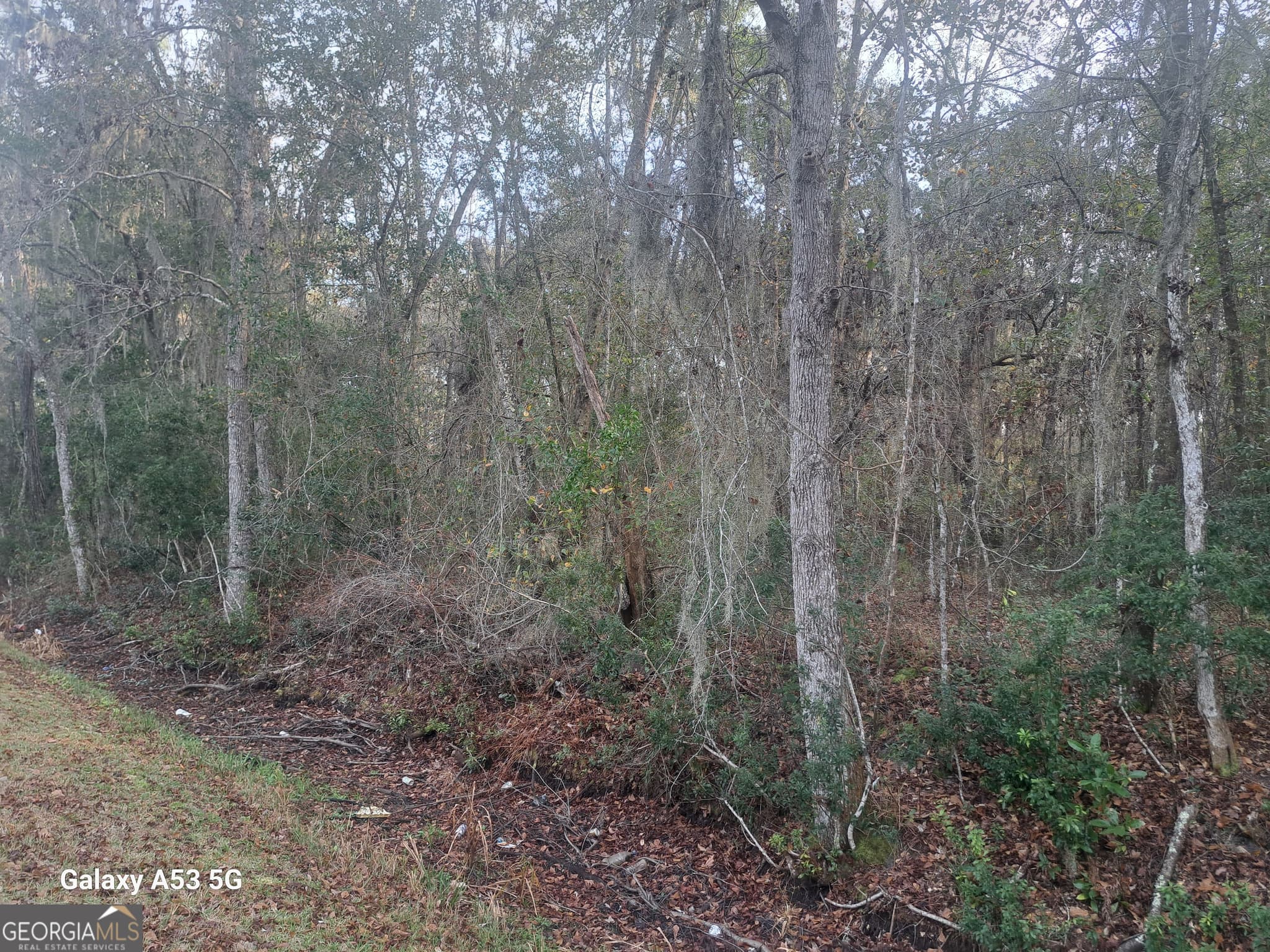 residential lot for sale at 0 Dover Bluff Road, Waverly, GA 31565 — photo 6