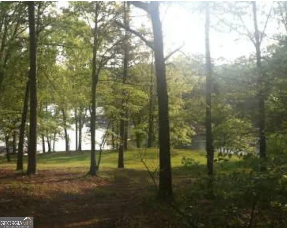 residential lot for sale at 3610-3620 Looper Lake Cove, Gainesville, GA 30506 — photo 6