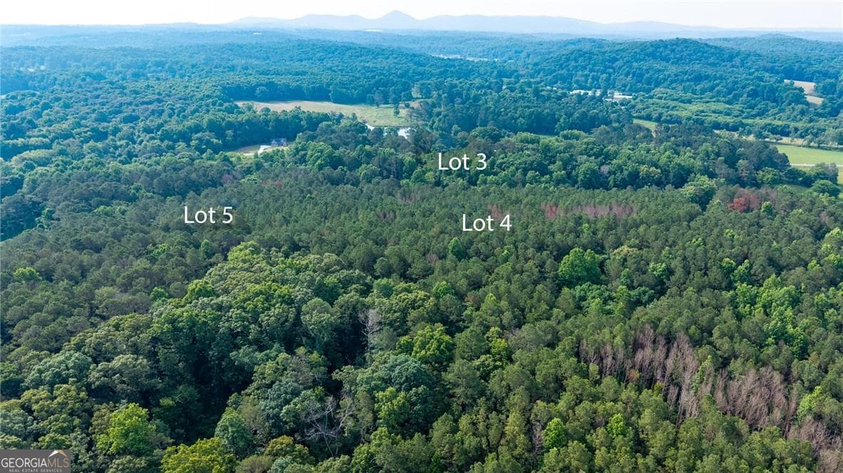 3 bedroom, 2.5 bathroom single family residence for sale at LOT 5 Highway 136 Connector, Talking Rock, GA 30175 — photo 6