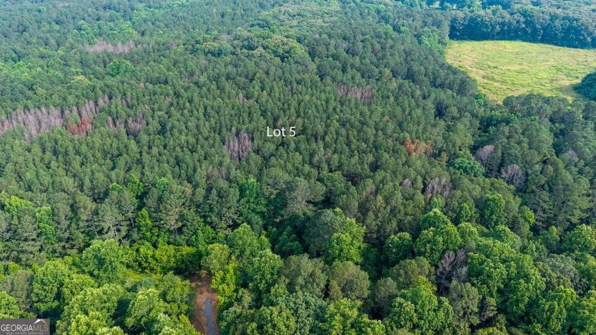 3 bedroom, 2.5 bathroom single family residence for sale at LOT 5 Highway 136 Connector, Talking Rock, GA 30175 — photo 4