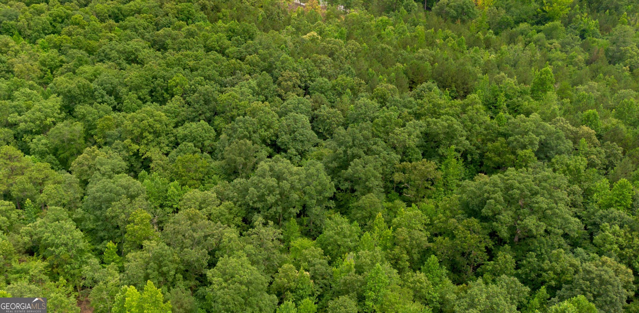 residential lot for sale at 0 Vinyard LOT 3, Fruithurst, AL 36262 — photo 6