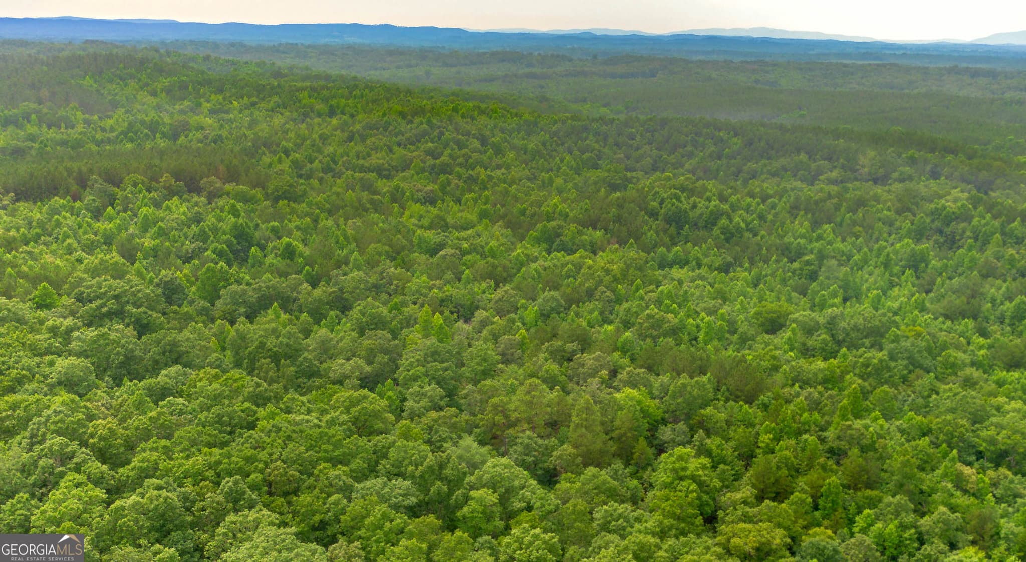 residential lot for sale at 0 Vinyard LOT 3, Fruithurst, AL 36262 — photo 7