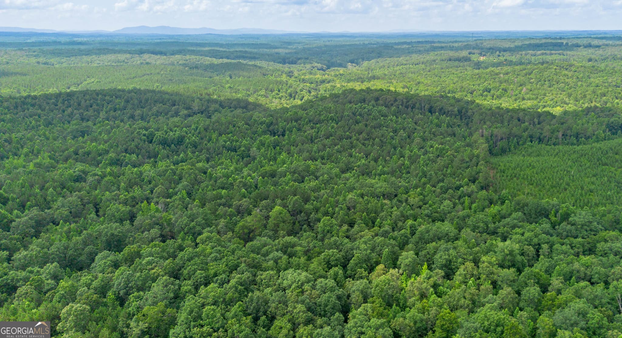 residential lot for sale at 0 Vinyard LOT 3, Fruithurst, AL 36262 — photo 3