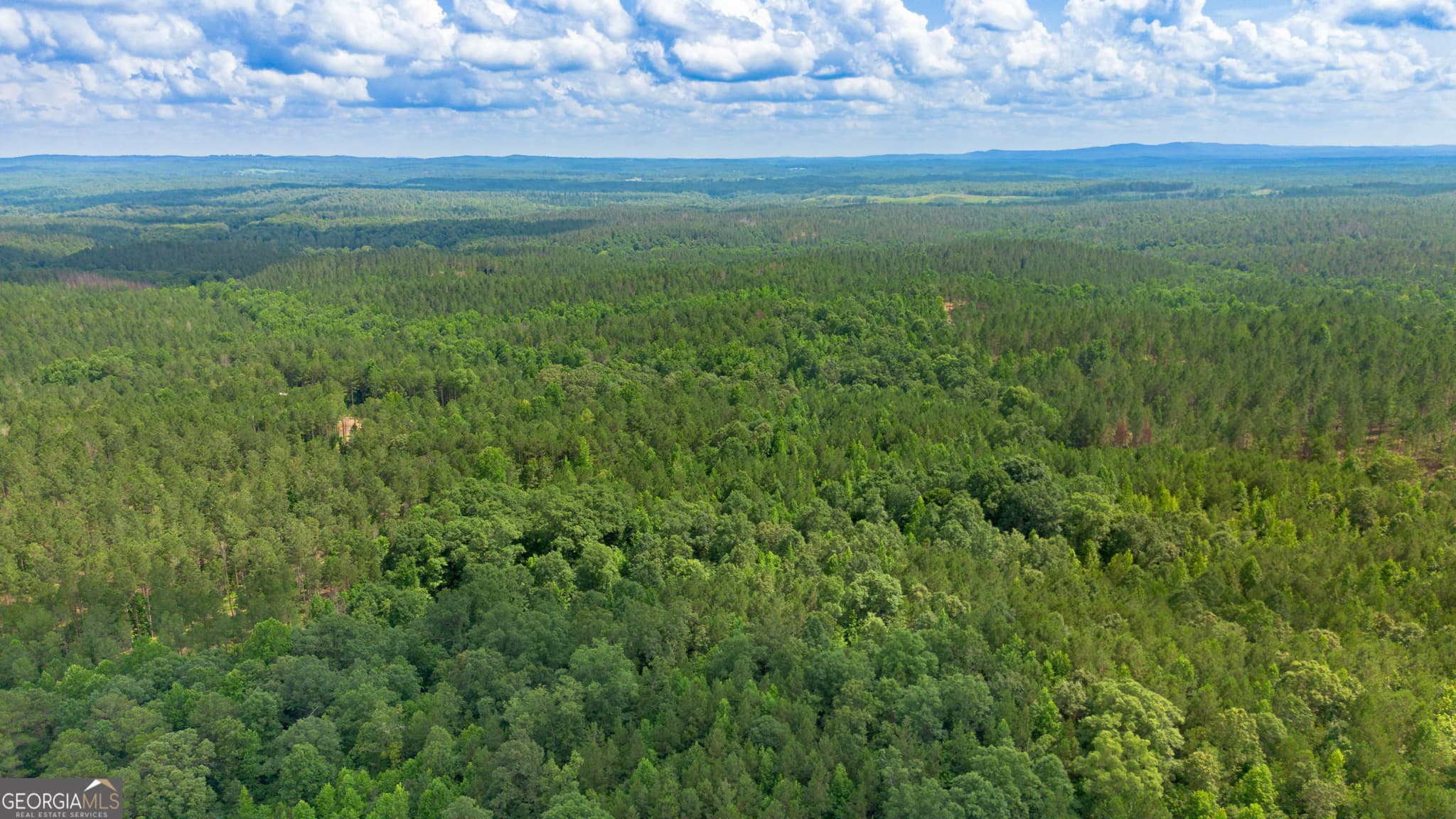 residential lot for sale at 0 Vinyard LOT 3, Fruithurst, AL 36262