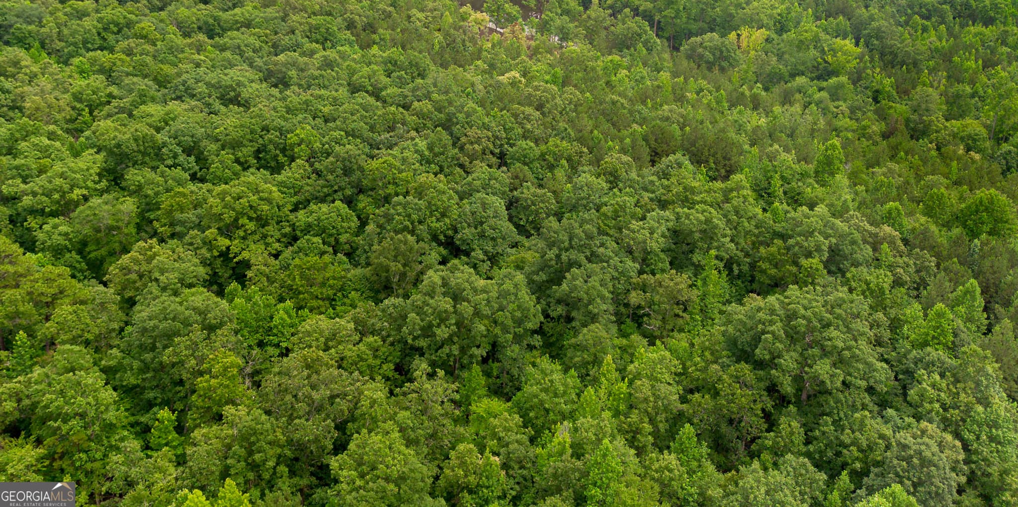 residential lot for sale at 0 Vinyard LOT 3, Fruithurst, AL 36262 — photo 5