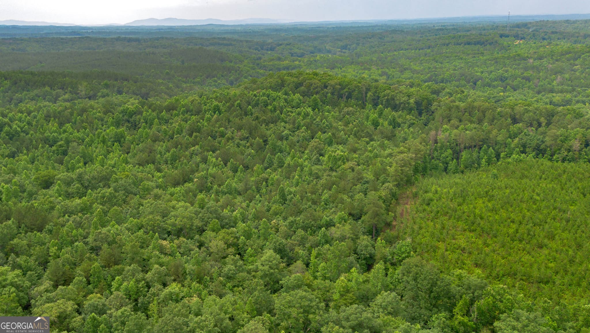 residential lot for sale at 0 Vinyard LOT 3, Fruithurst, AL 36262 — photo 8