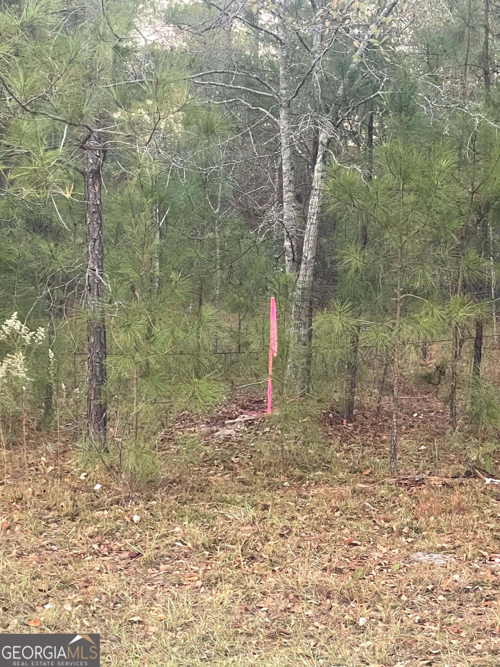 residential lot for sale at 0 CANOOCHEE BYPASS Road, Twin City, GA 30471 — photo 2