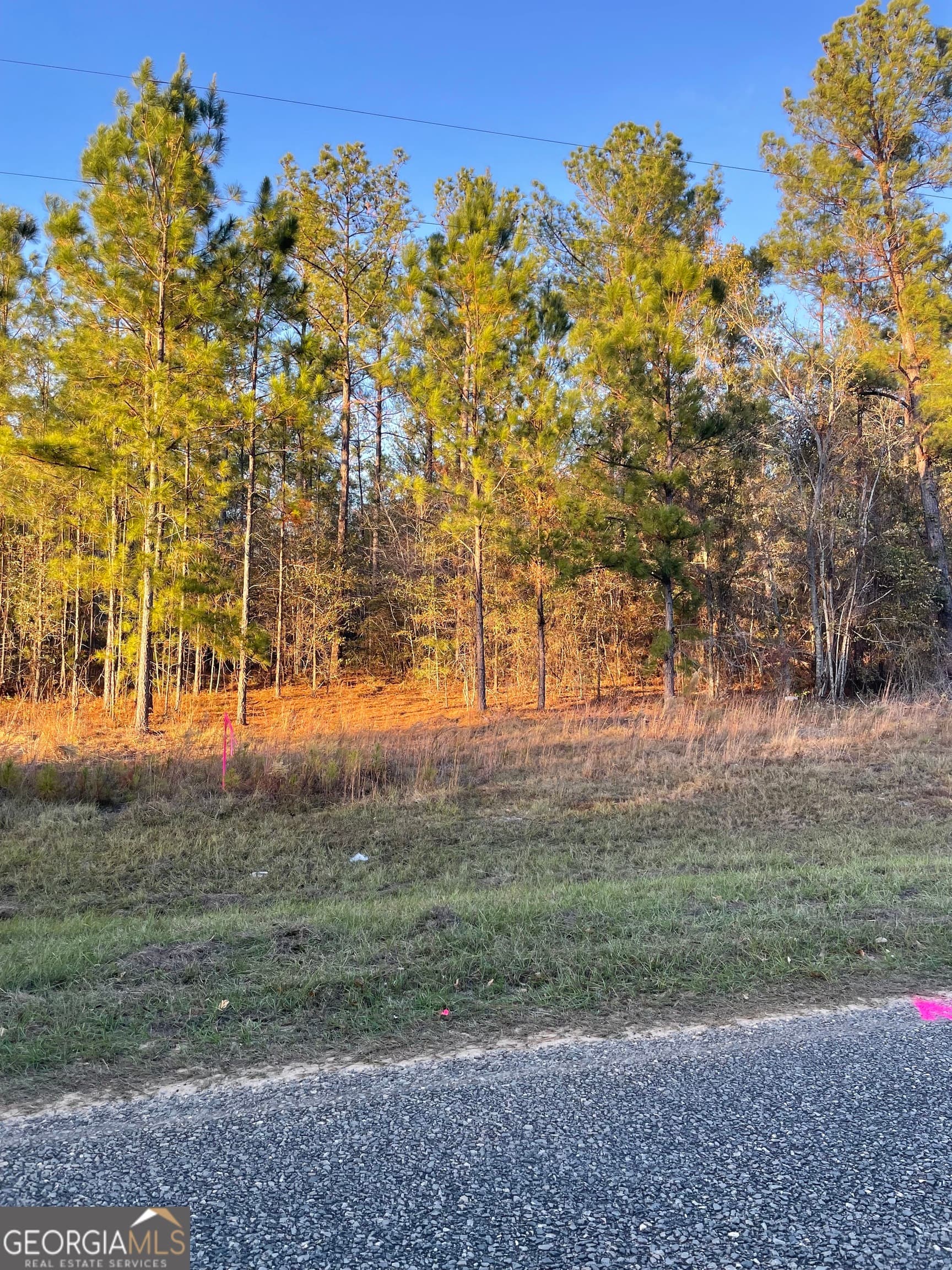 residential lot for sale at 0 CANOOCHEE BYPASS Road, Twin City, GA 30471 — photo 3