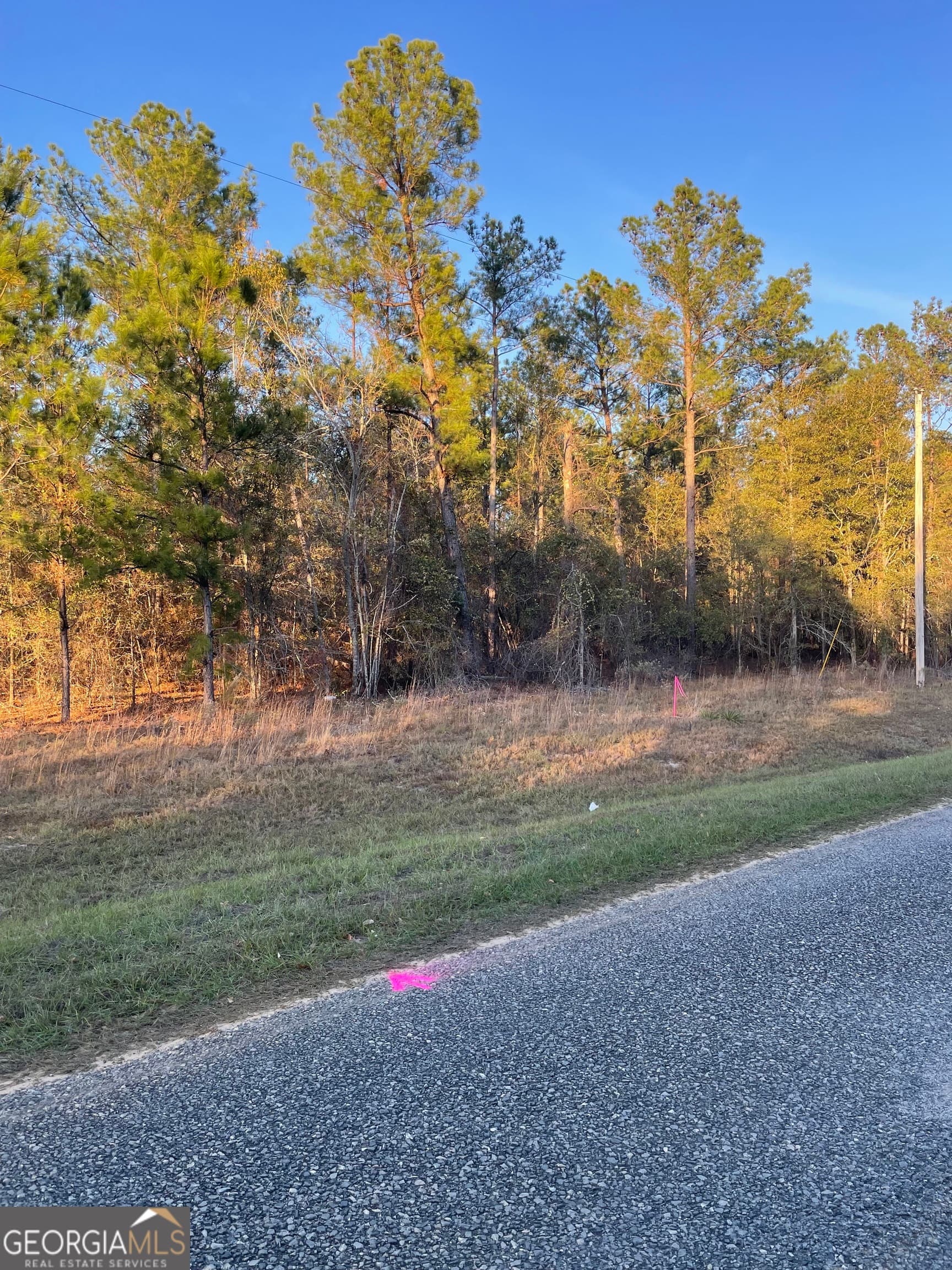 residential lot for sale at 0 CANOOCHEE BYPASS Road, Twin City, GA 30471 — photo 5