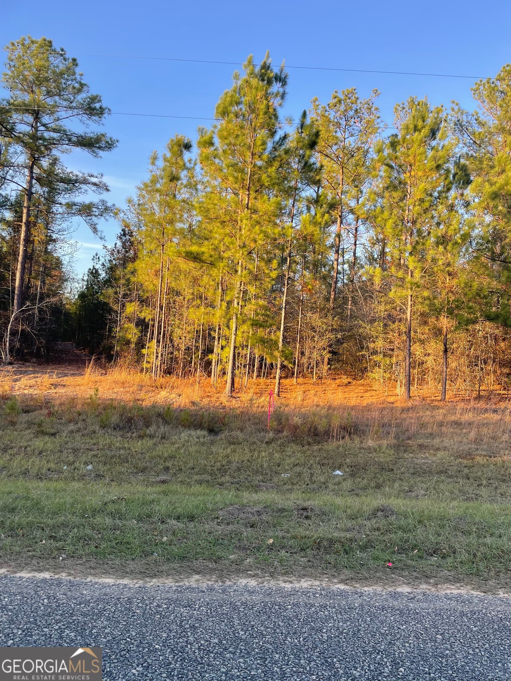 residential lot for sale at 0 CANOOCHEE BYPASS Road, Twin City, GA 30471 — photo 4