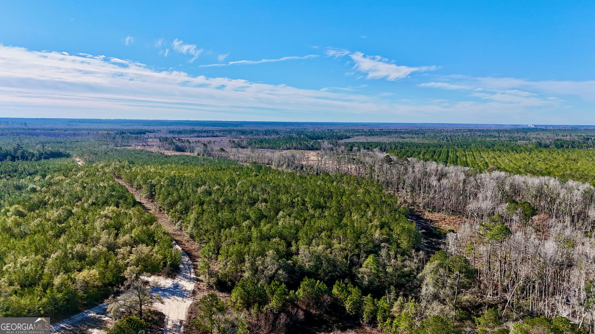 agriculture for sale at TRACT 1 Tillman Cemetery Road, Lumber City, GA 31549 — photo 2
