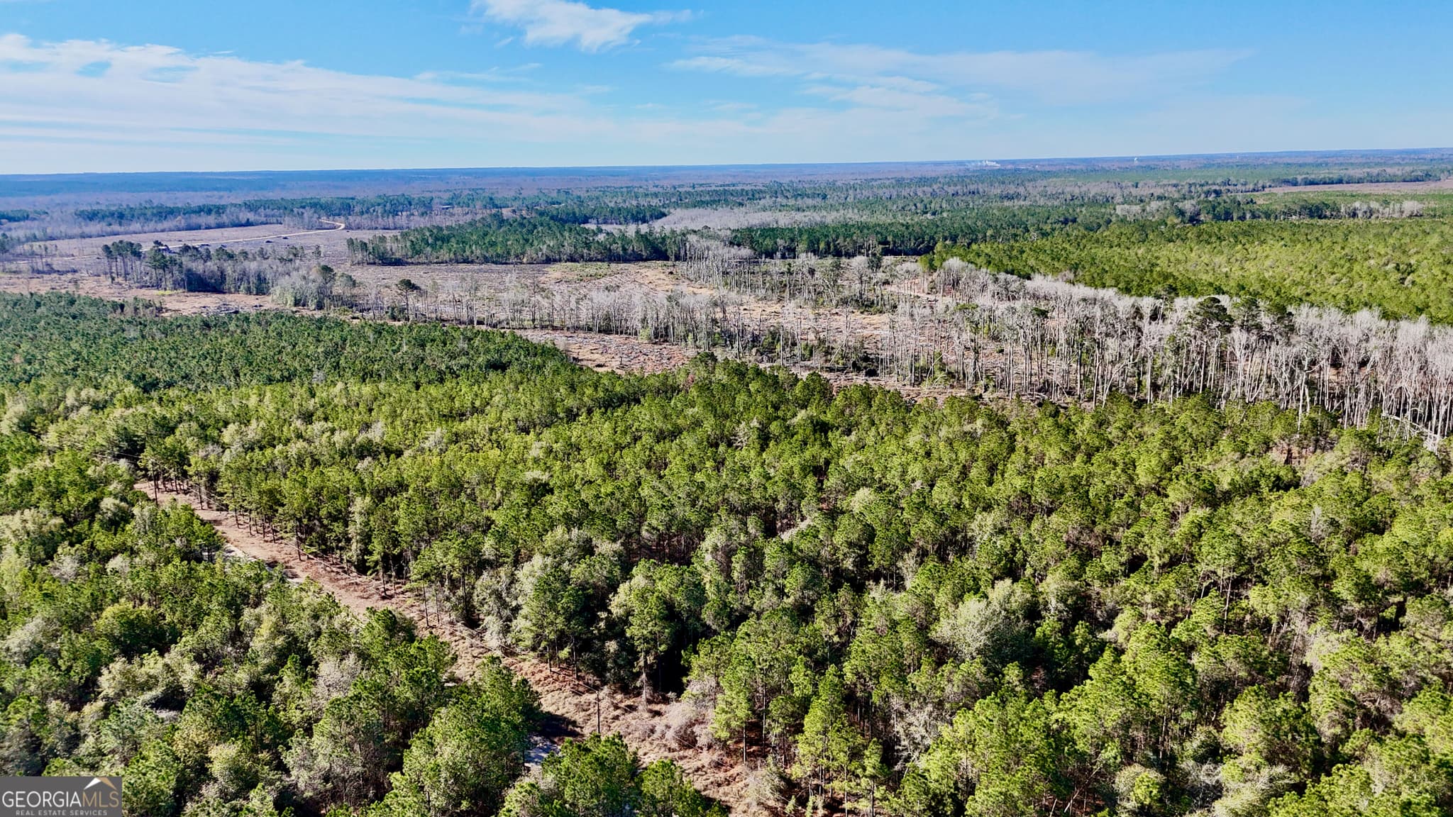 agriculture for sale at TRACT 1 Tillman Cemetery Road, Lumber City, GA 31549 — photo 6
