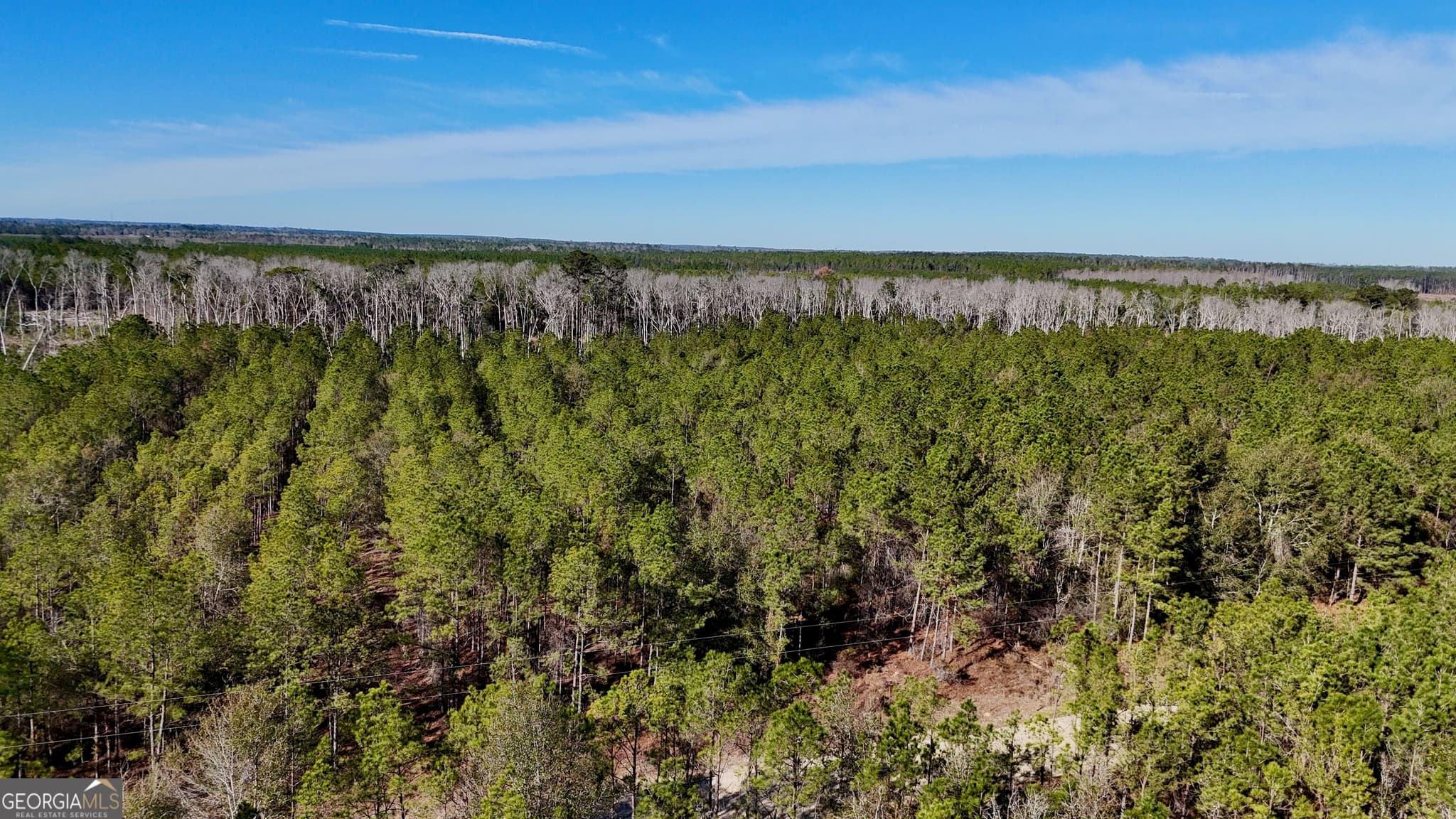 agriculture for sale at TRACT 1 Tillman Cemetery Road, Lumber City, GA 31549 — photo 7