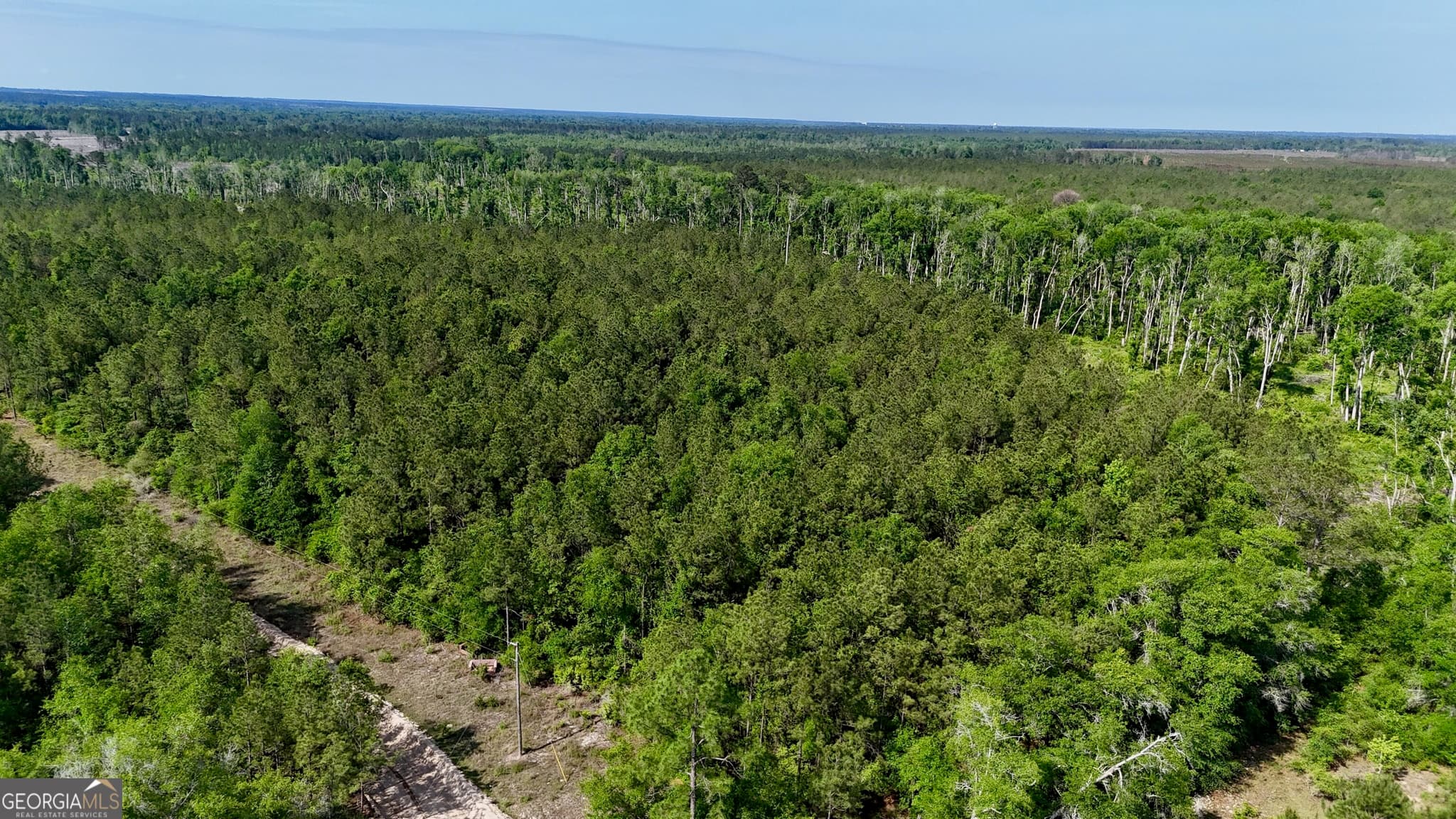 agriculture for sale at TRACT 1 Tillman Cemetery Road, Lumber City, GA 31549