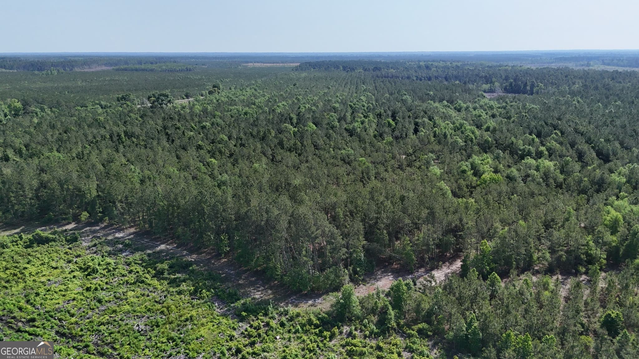 agriculture for sale at TRACT 1 Tillman Cemetery Road, Lumber City, GA 31549 — photo 9