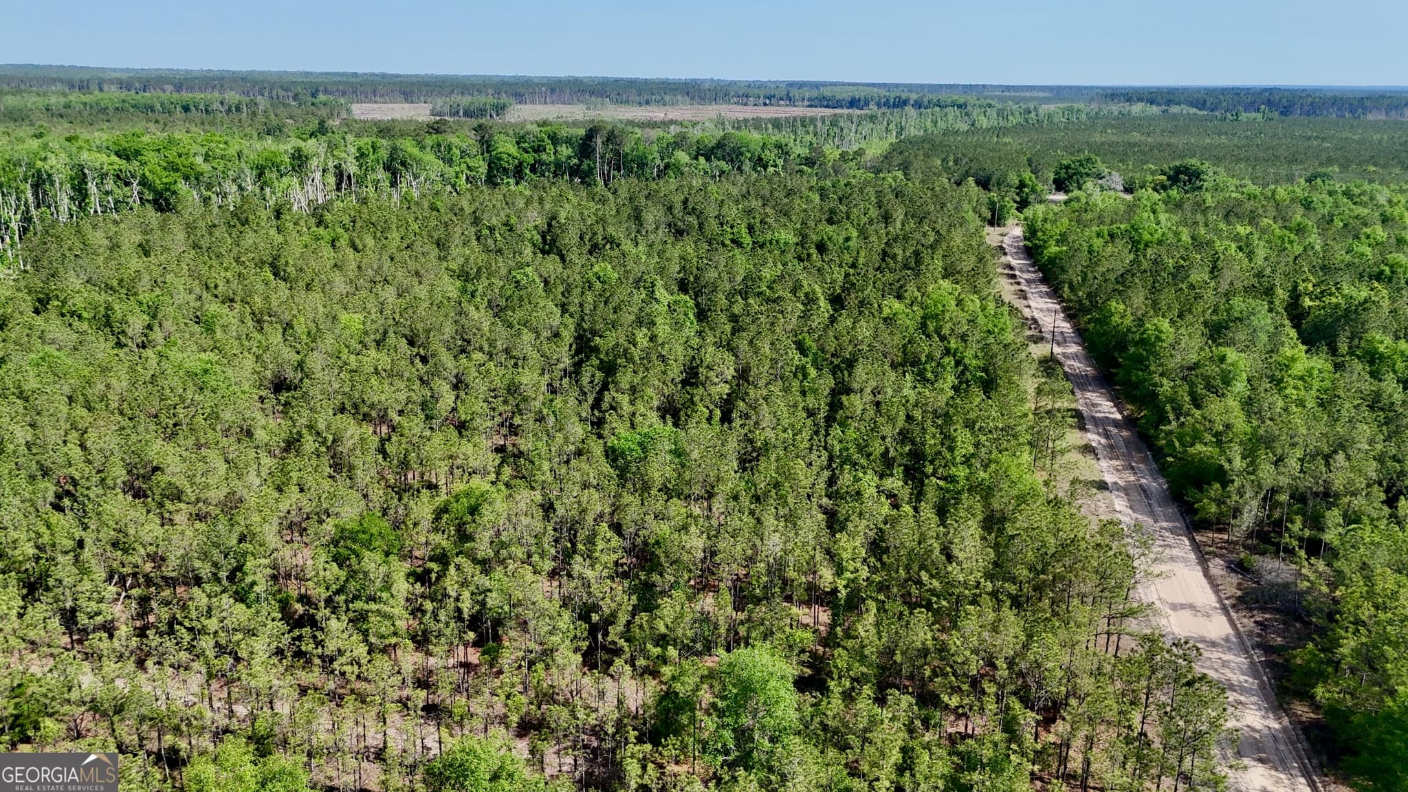 agriculture for sale at TRACT 1 Tillman Cemetery Road, Lumber City, GA 31549 — photo 10