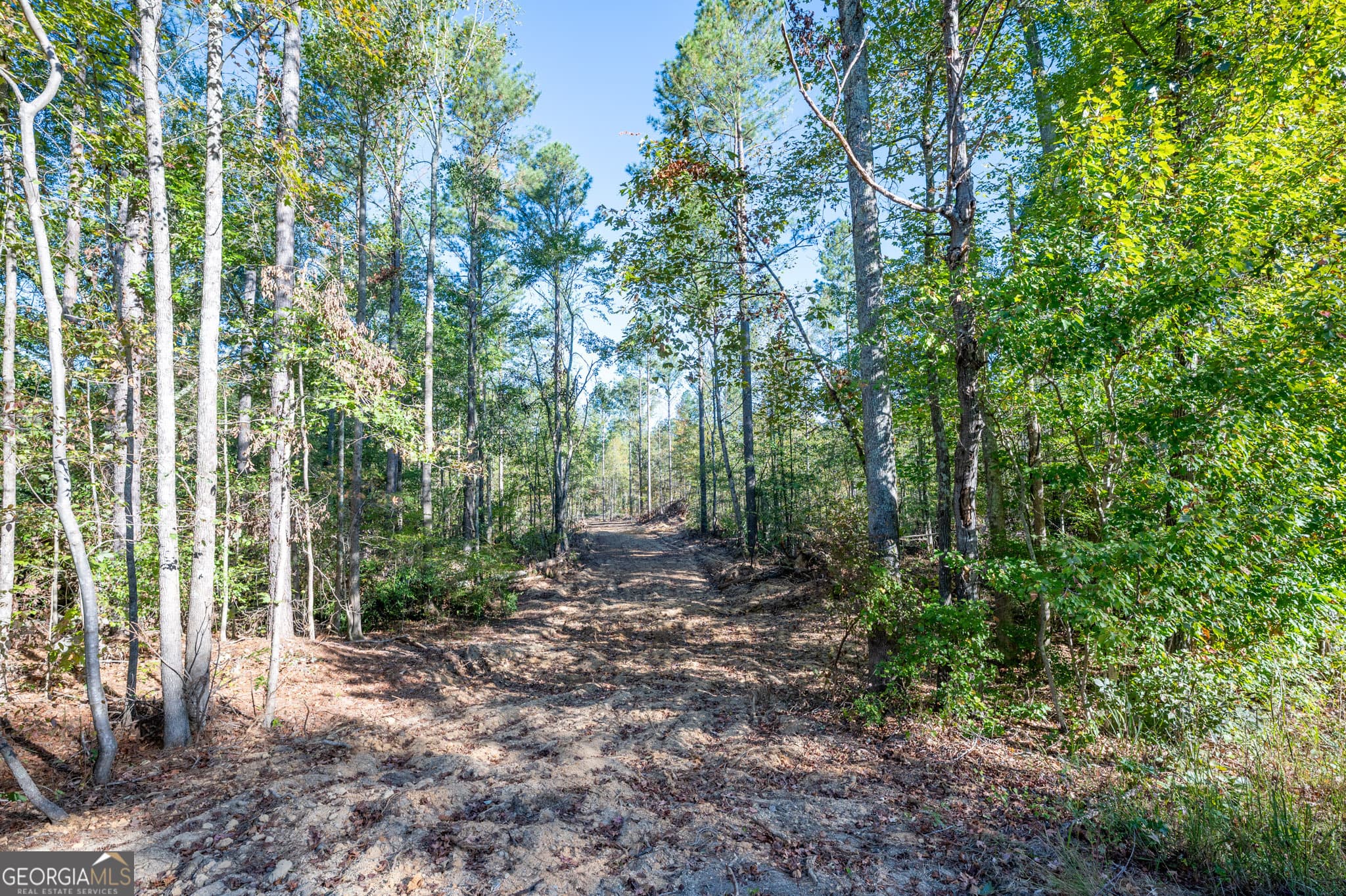estate lot for sale at 3859 HWY 140, Rydal, GA 30171 — photo 2