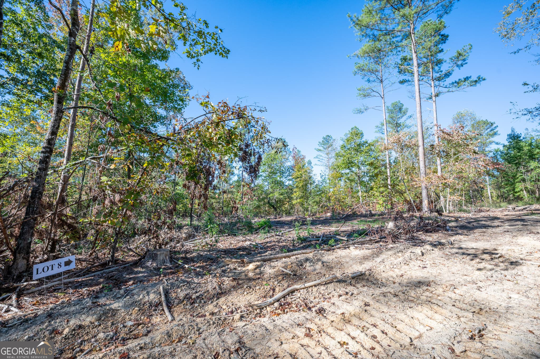 estate lot for sale at 3859 HWY 140, Rydal, GA 30171 — photo 6