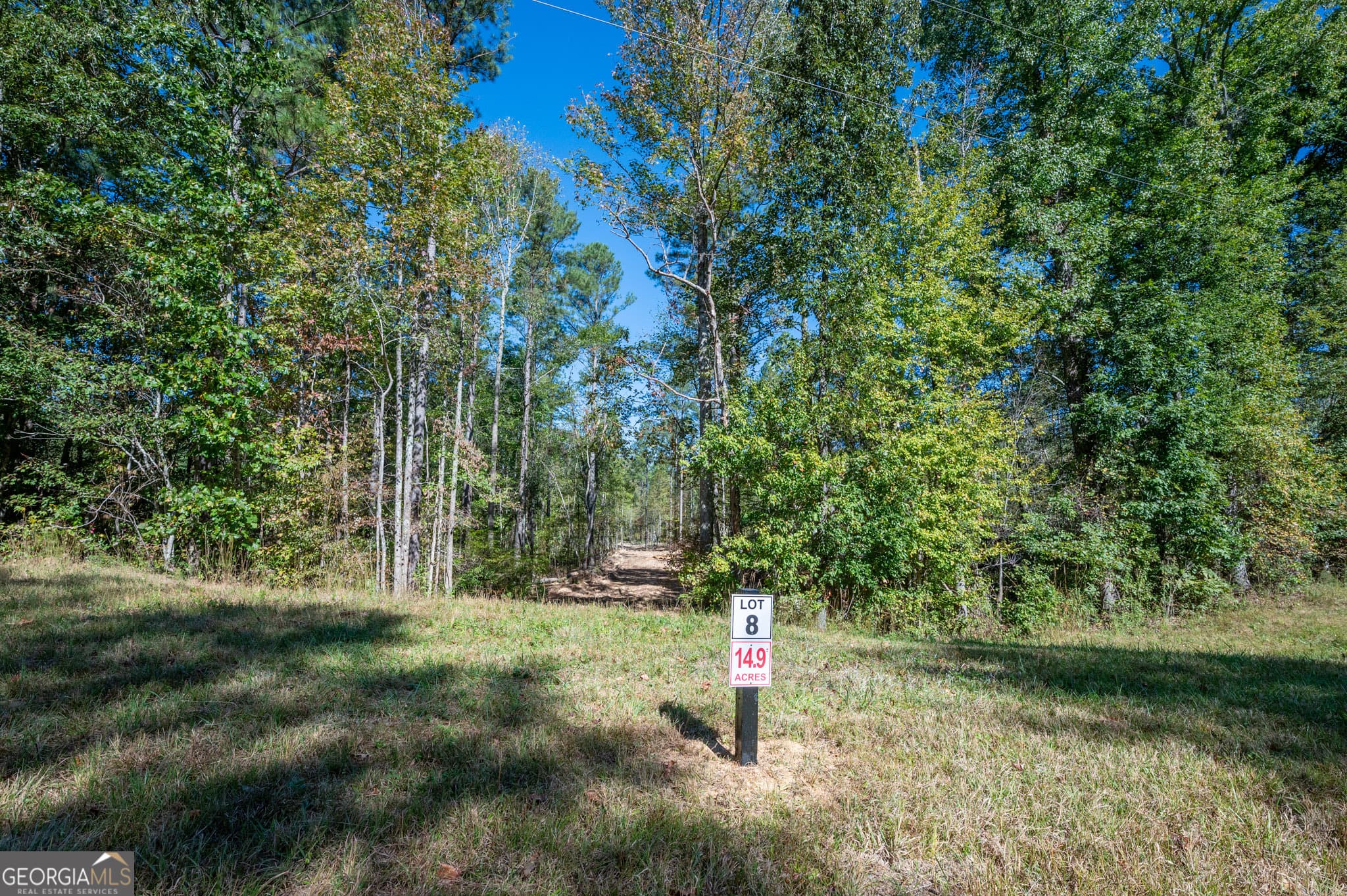 estate lot for sale at 3859 HWY 140, Rydal, GA 30171 — photo 7