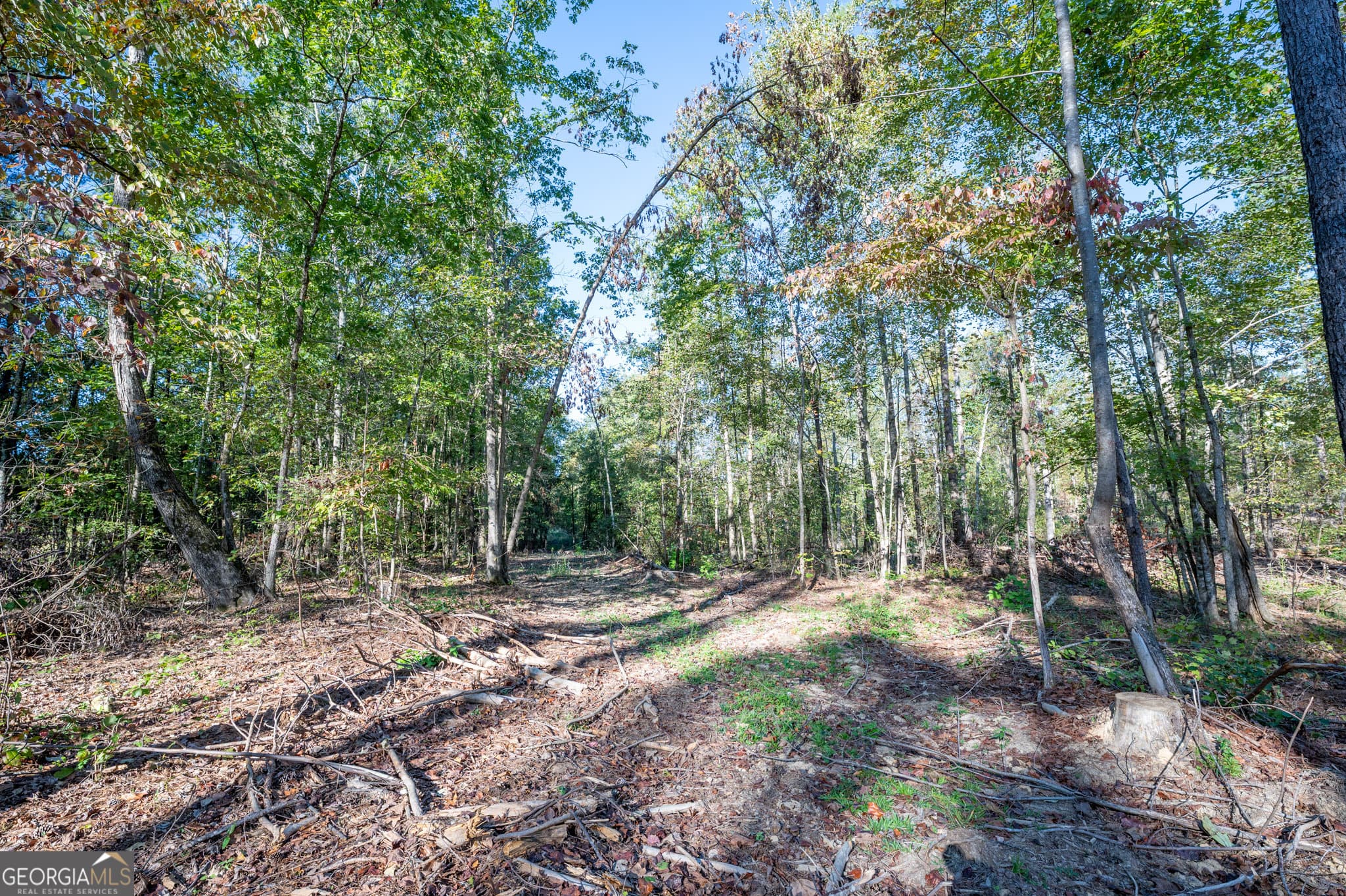 estate lot for sale at 3859 HWY 140, Rydal, GA 30171 — photo 3