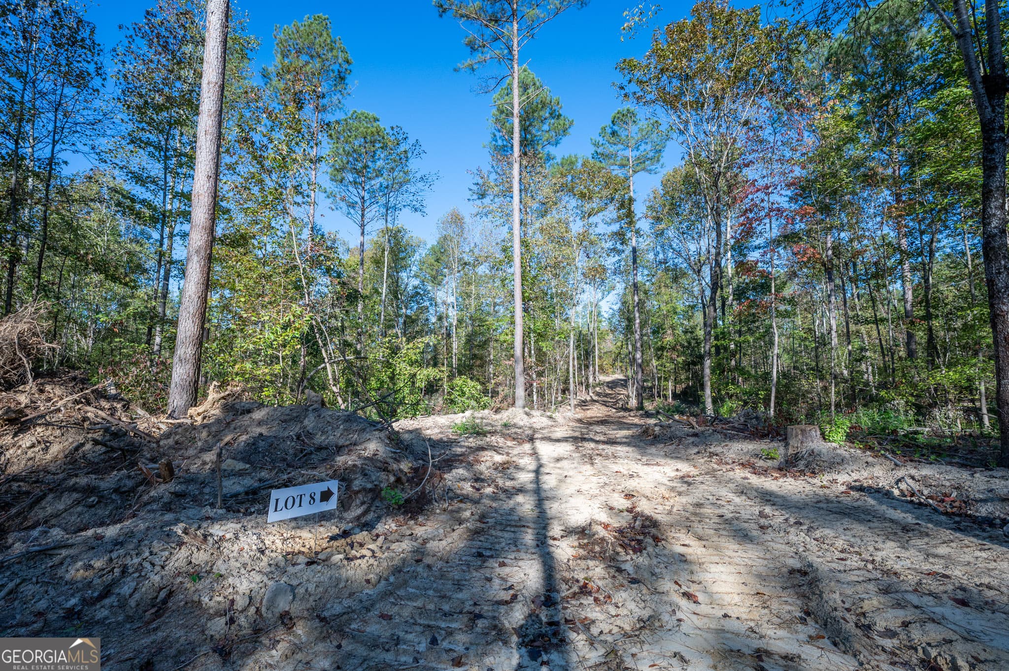 estate lot for sale at 3859 HWY 140, Rydal, GA 30171 — photo 5