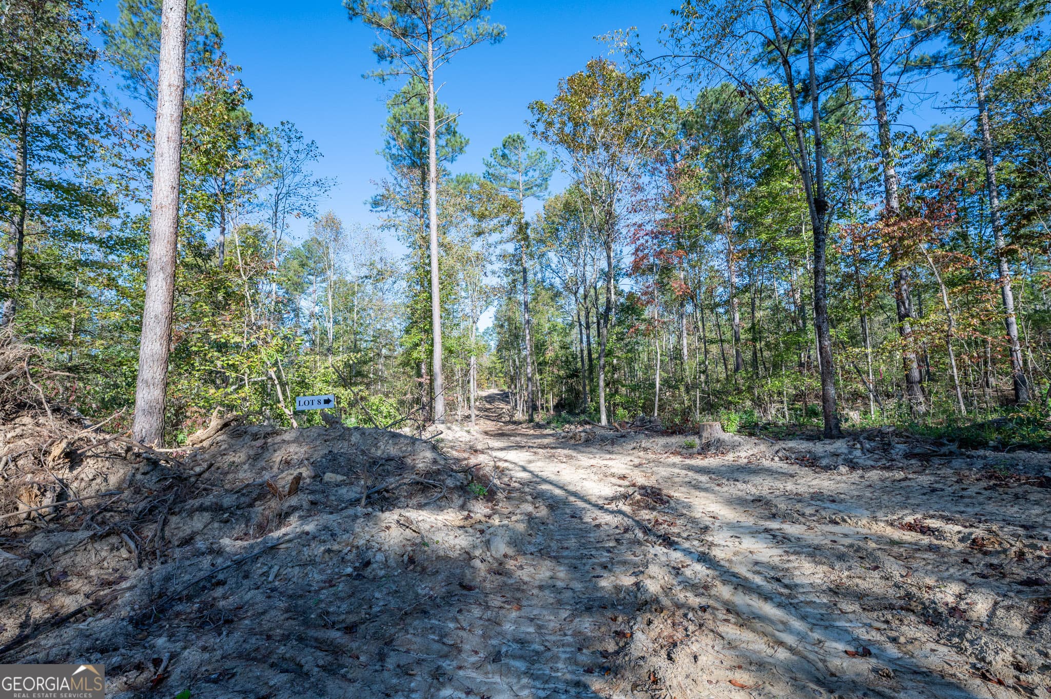 estate lot for sale at 3859 HWY 140, Rydal, GA 30171 — photo 4