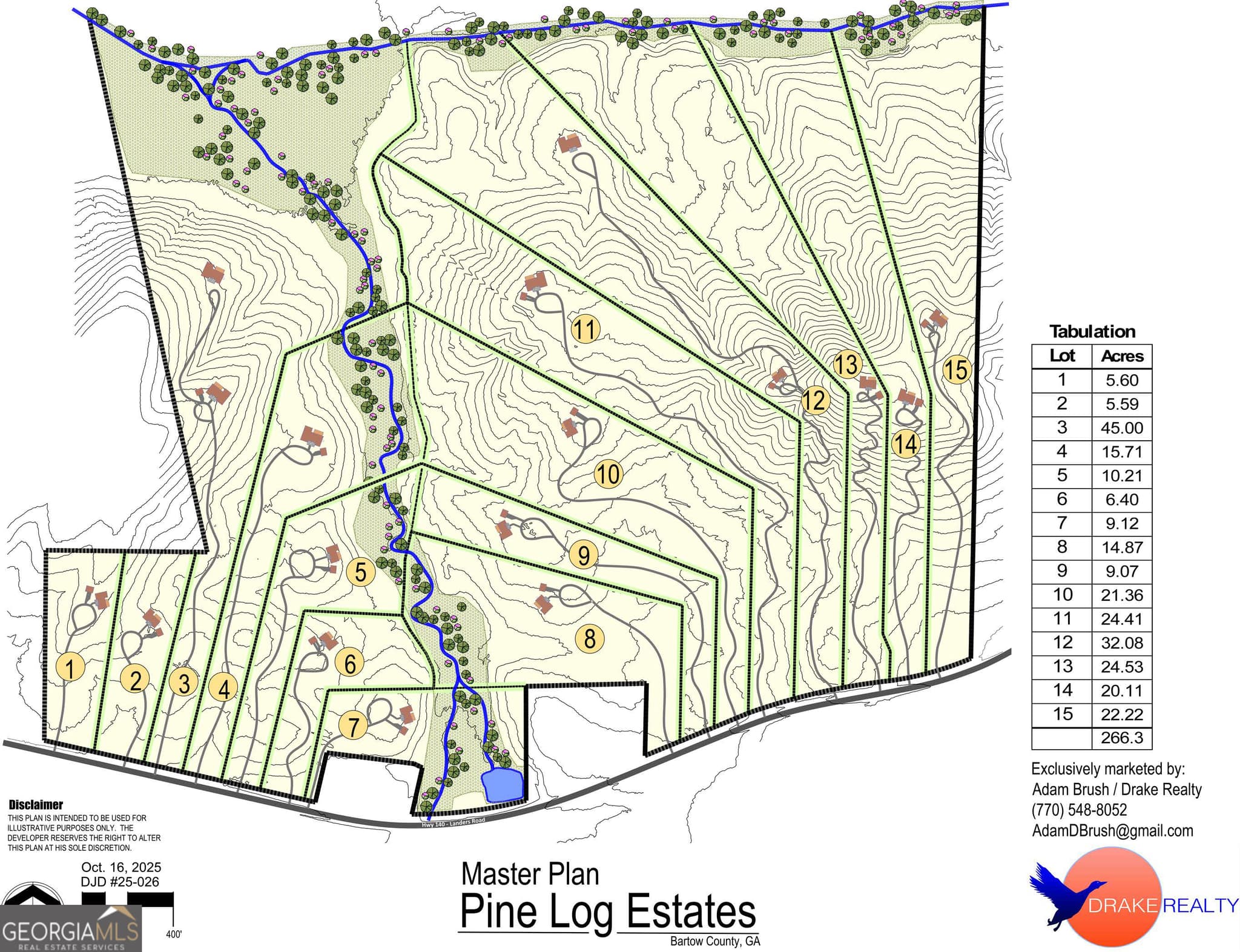 estate lot for sale at 3859 HWY 140, Rydal, GA 30171 — photo 8