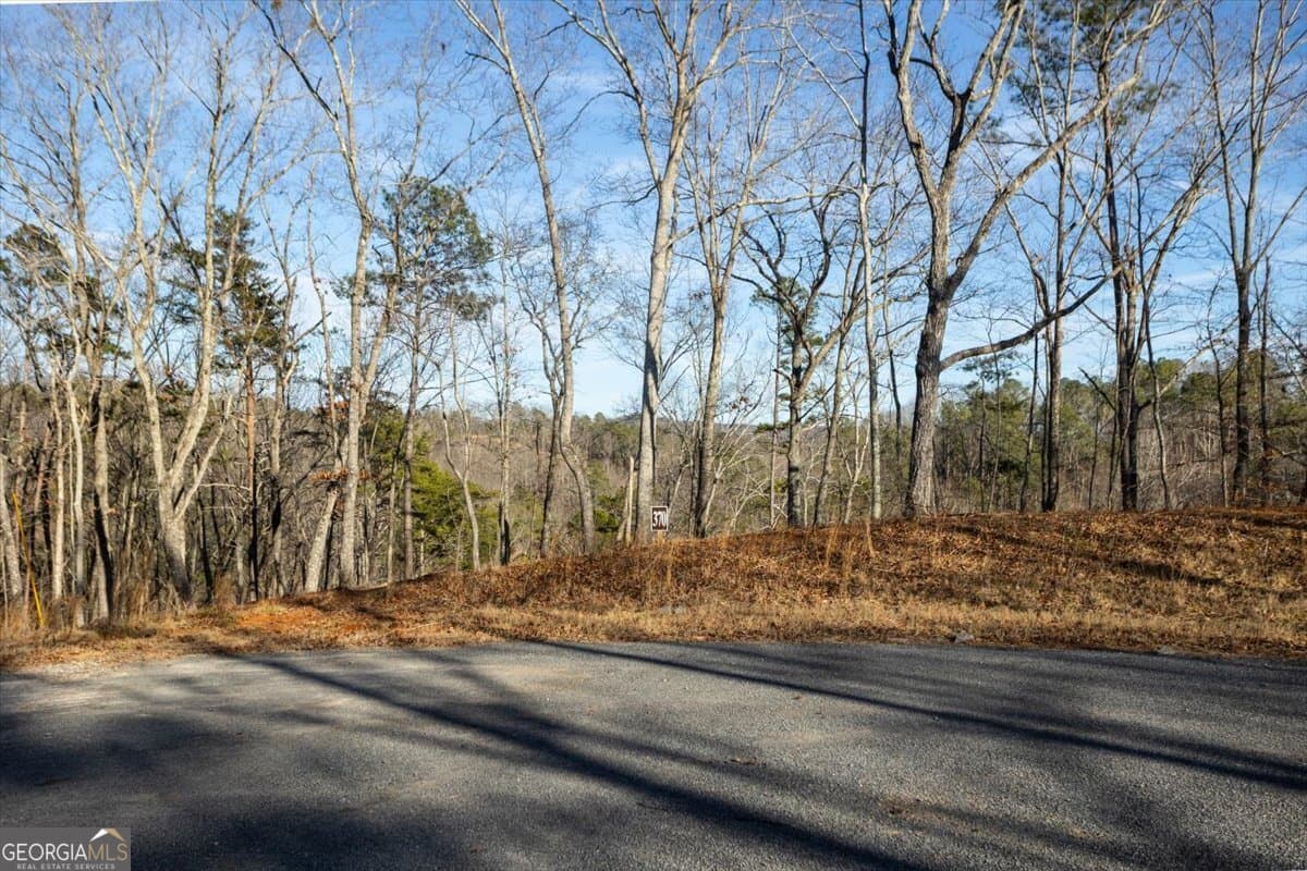 residential lot for sale at 0 Meditation Lane, Talking Rock, GA 30175 — photo 1 of 20