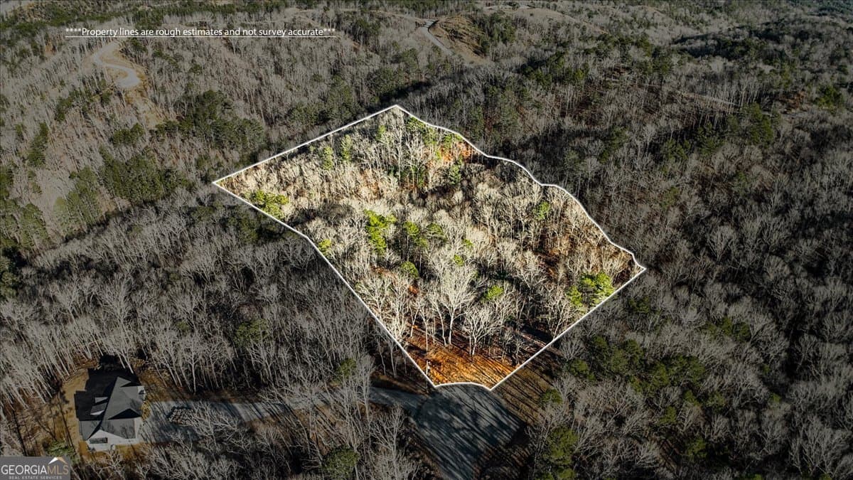 residential lot for sale at 0 Meditation Lane, Talking Rock, GA 30175 — photo 4