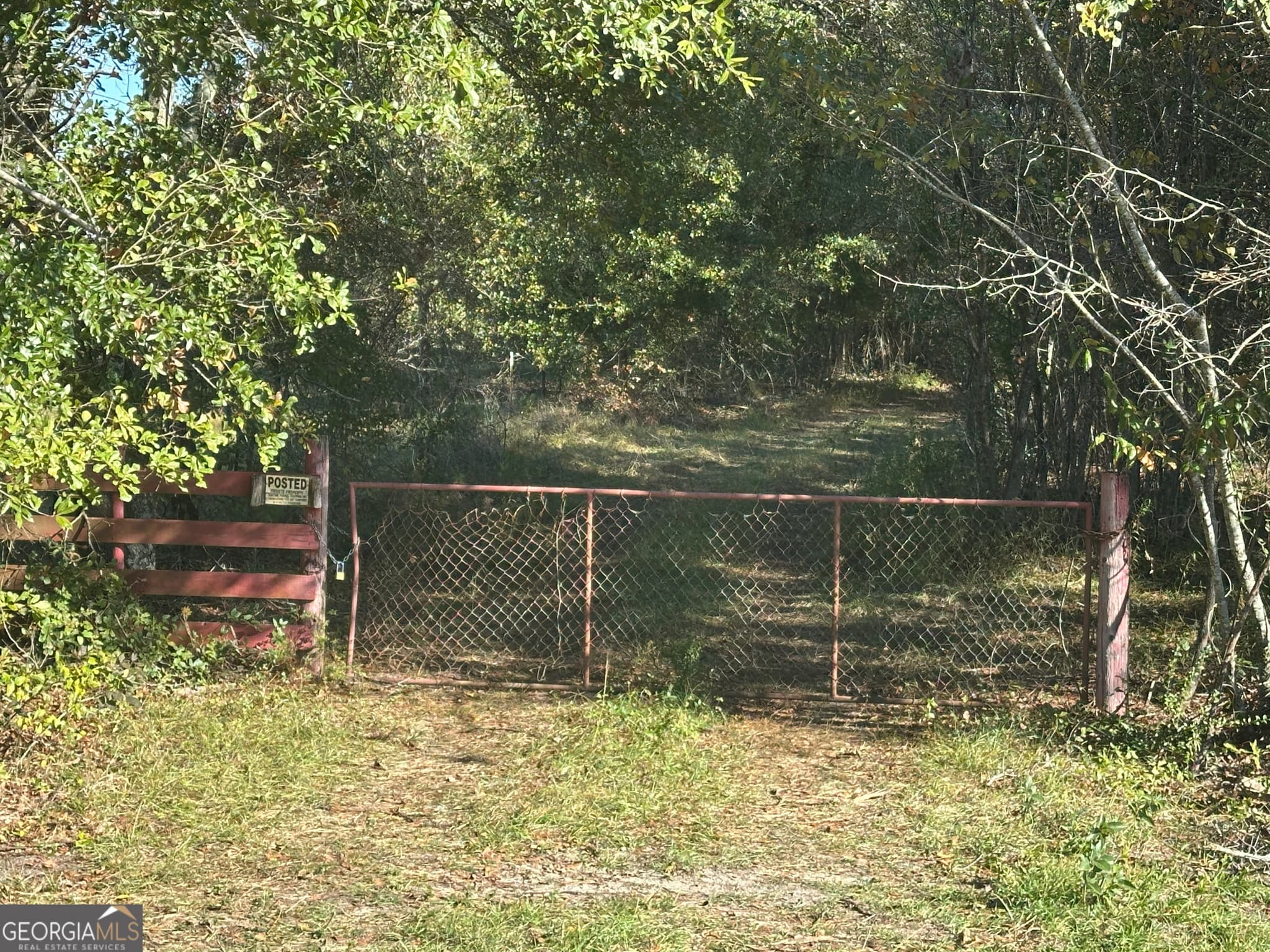 unimproved land for sale at 0 Buck Creek Road, Sylvania, GA 30467 — photo 2