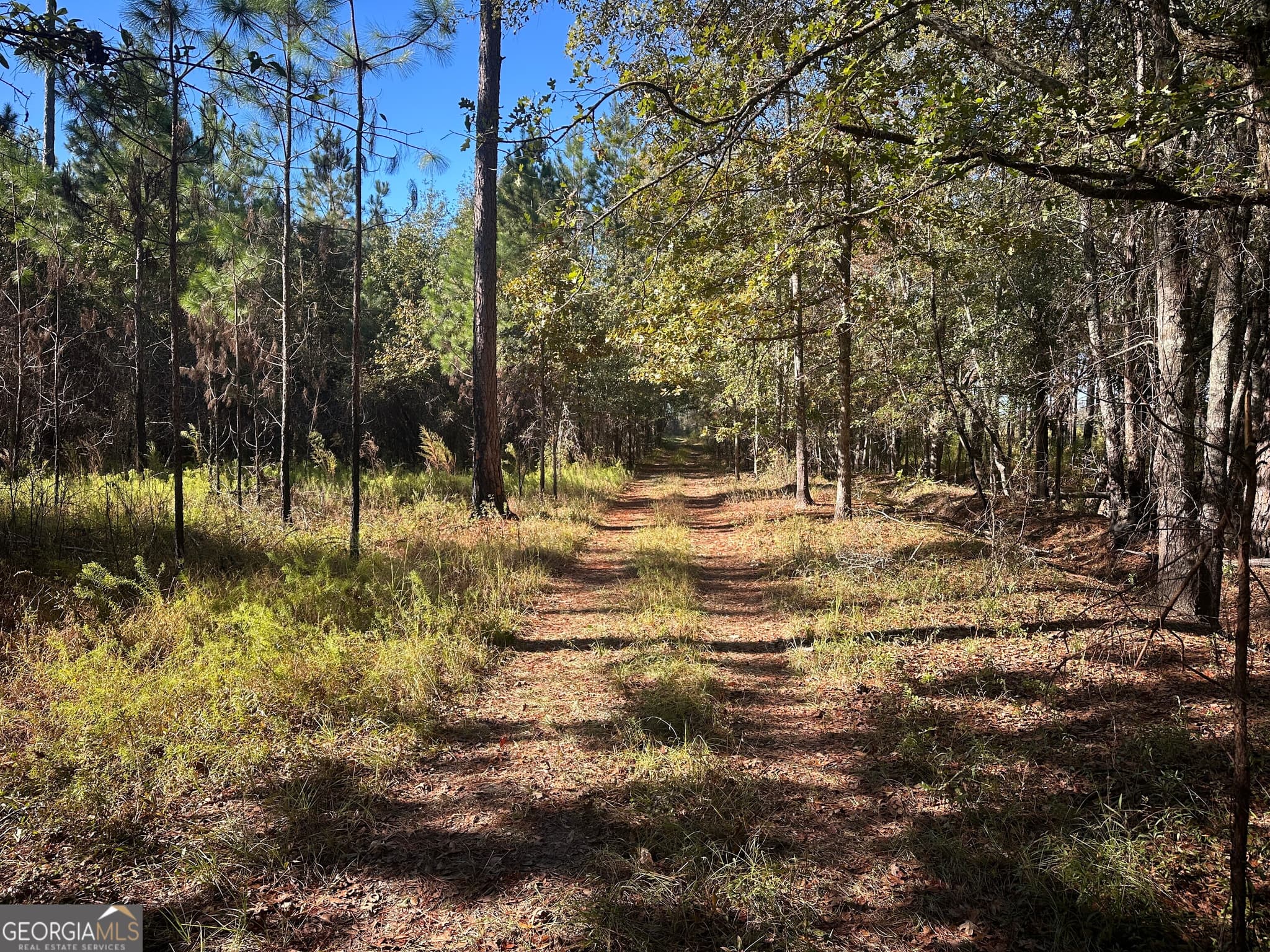 unimproved land for sale at 0 Buck Creek Road, Sylvania, GA 30467 — photo 7