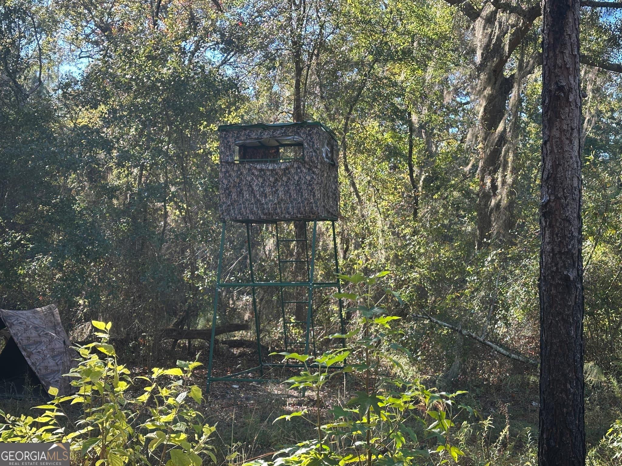 unimproved land for sale at 0 Buck Creek Road, Sylvania, GA 30467 — photo 4