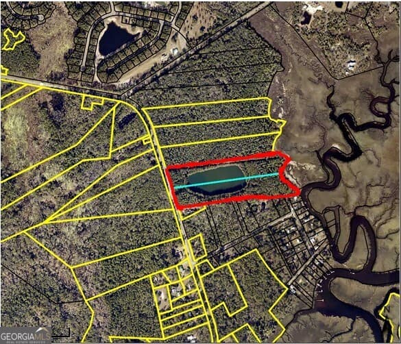 unimproved land for sale at 0 21 Road ACRES DOVER BLUFF, Waverly, GA 31565 — photo 2
