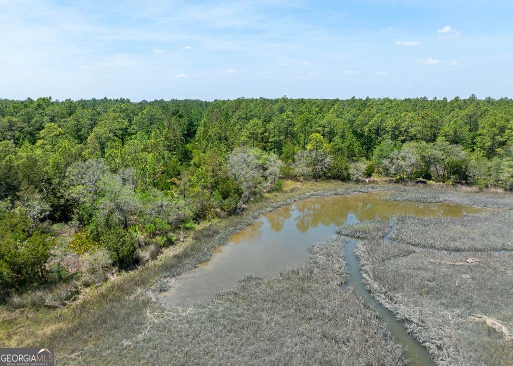 unimproved land for sale at 0 21 Road ACRES DOVER BLUFF, Waverly, GA 31565 — photo 6