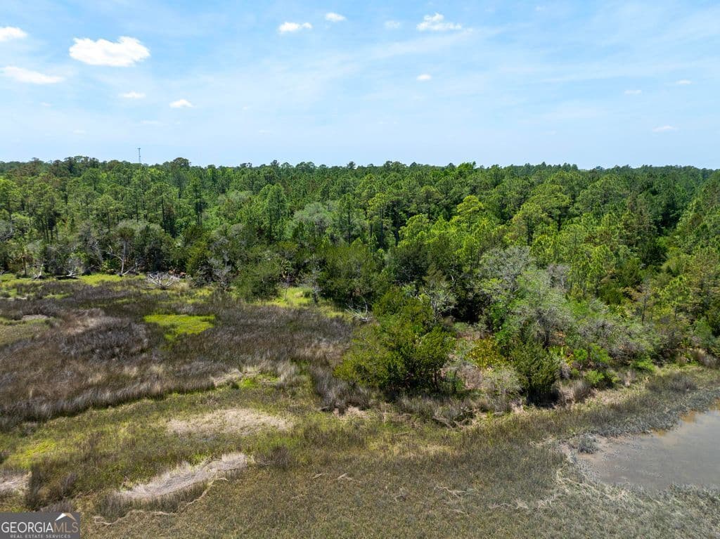 unimproved land for sale at 0 21 Road ACRES DOVER BLUFF, Waverly, GA 31565 — photo 7