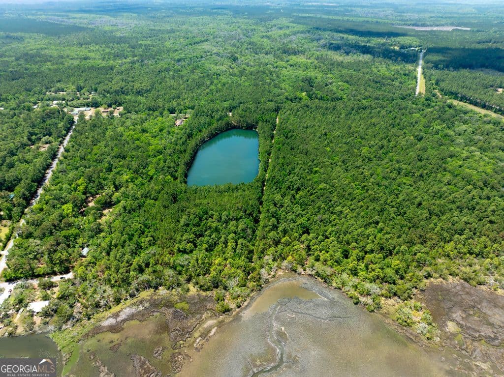unimproved land for sale at 0 21 Road ACRES DOVER BLUFF, Waverly, GA 31565 — photo 3