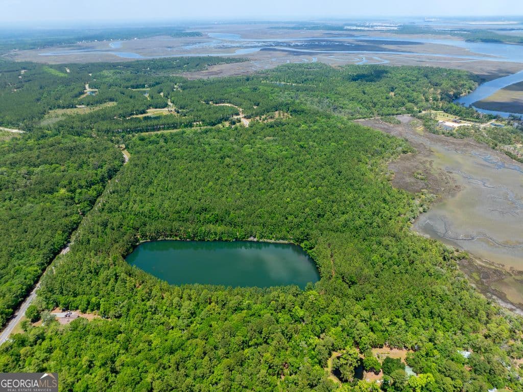 unimproved land for sale at 0 21 Road ACRES DOVER BLUFF, Waverly, GA 31565 — photo 1 of 11