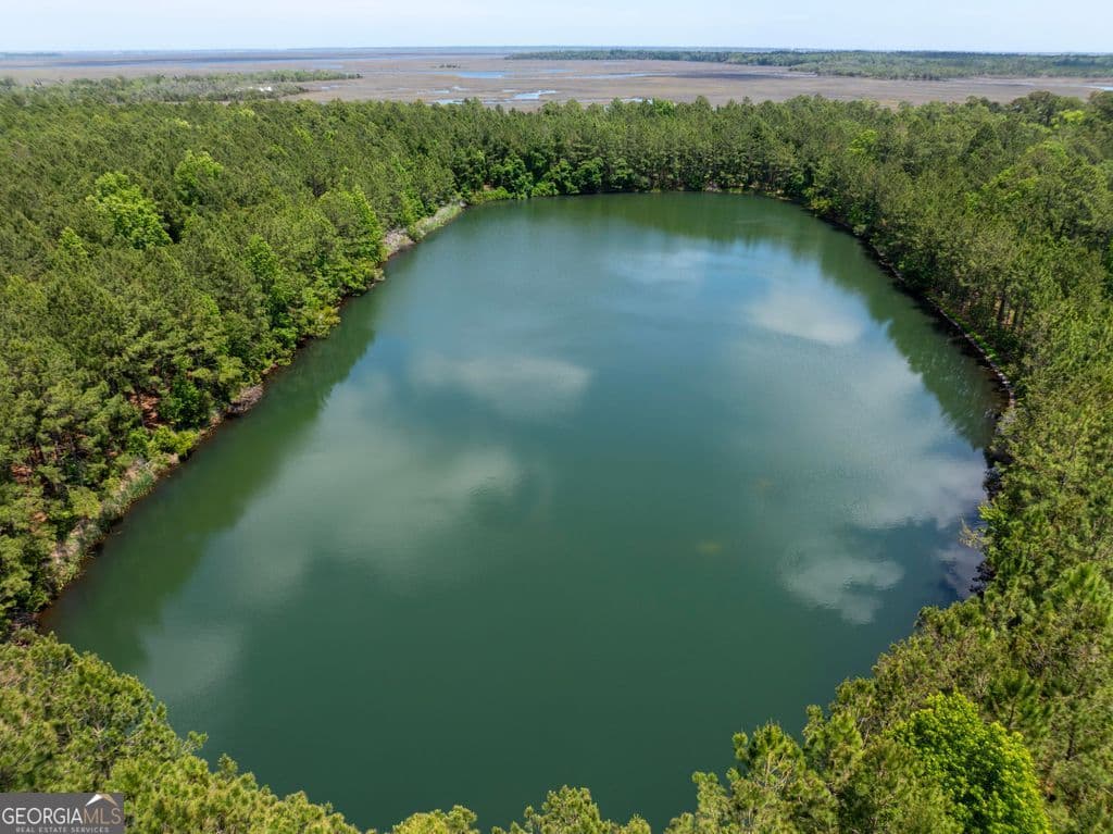 unimproved land for sale at 0 21 Road ACRES DOVER BLUFF, Waverly, GA 31565 — photo 5