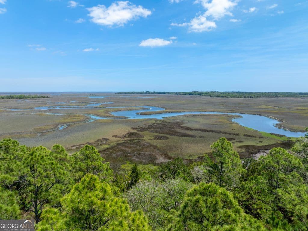 unimproved land for sale at 0 21 Road ACRES DOVER BLUFF, Waverly, GA 31565 — photo 9
