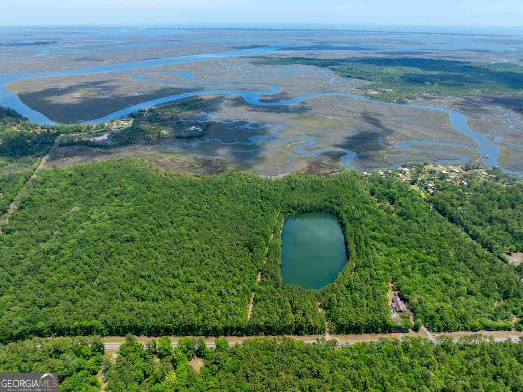 unimproved land for sale at 0 21 Road ACRES DOVER BLUFF, Waverly, GA 31565 — photo 10