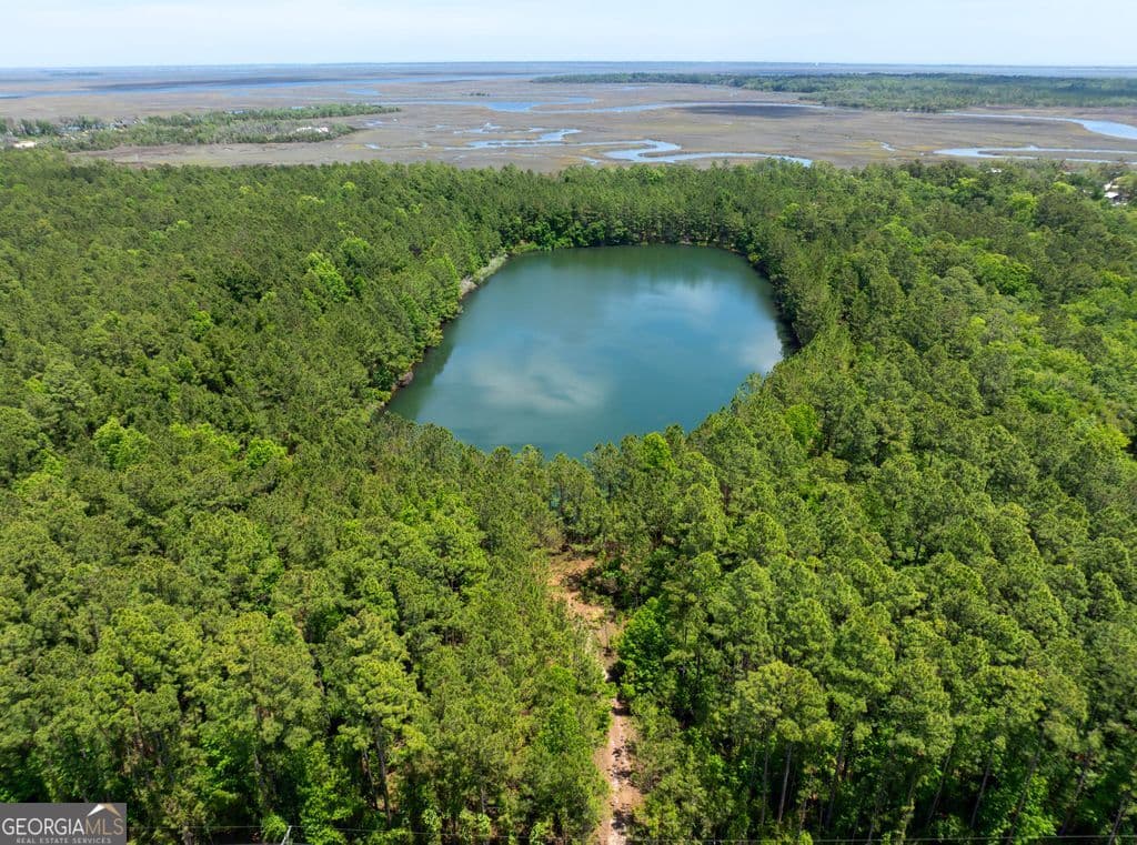 unimproved land for sale at 0 21 Road ACRES DOVER BLUFF, Waverly, GA 31565 — photo 4